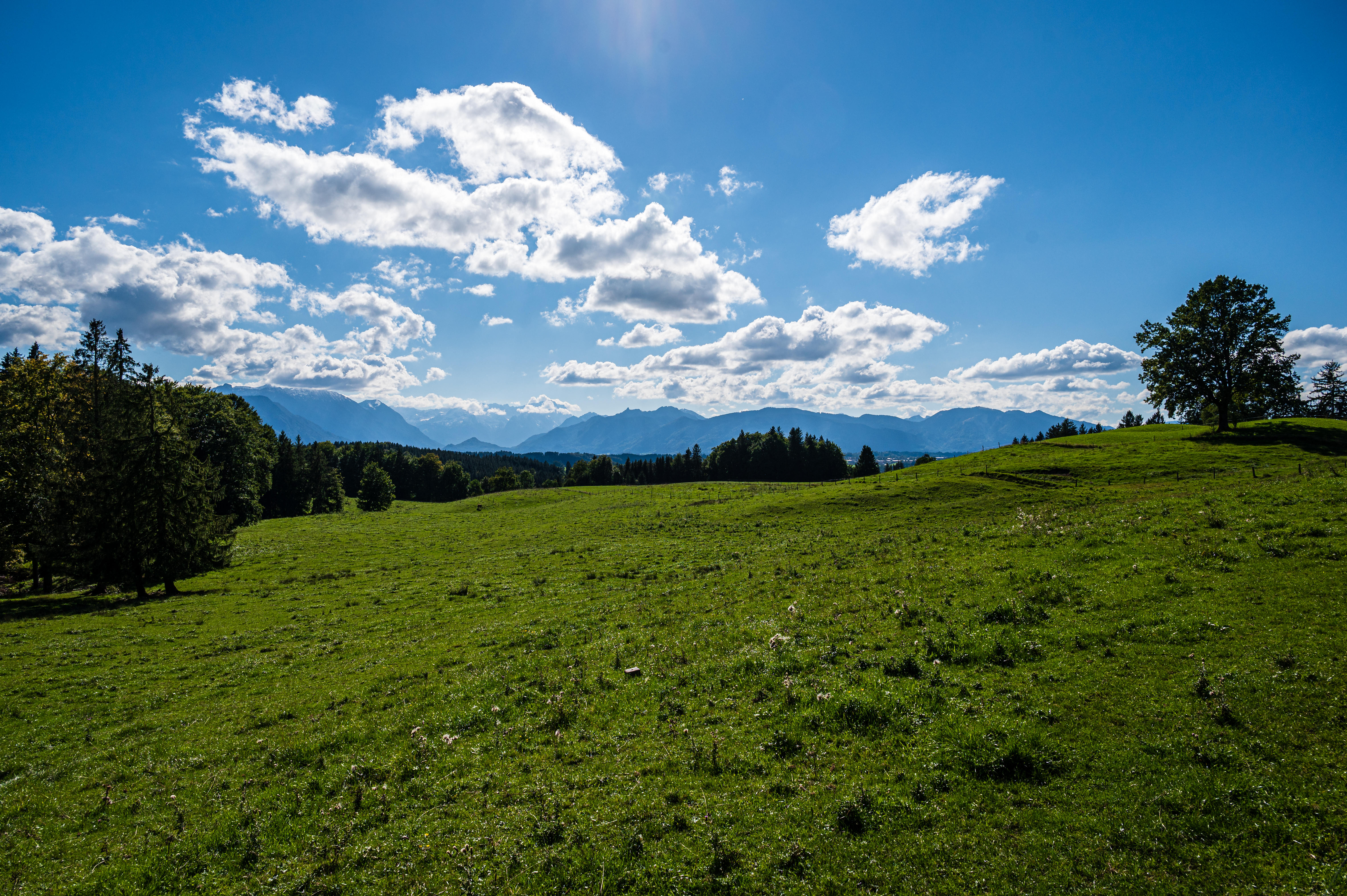 Wanderung Aidlinger Höhe